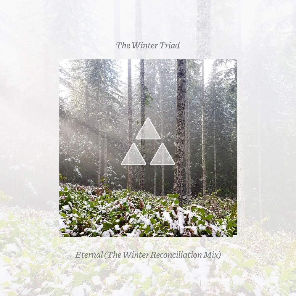 Patternmind - Eternal (The Winter Reconciliation Mix) Cover Art Patternmind - Eternal (The Winter Reconciliation Mix) Cover Art